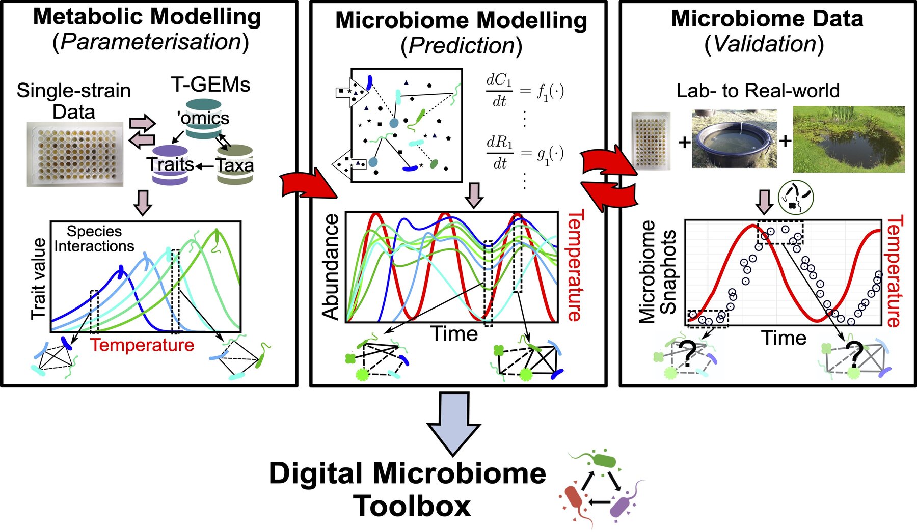 DigiMic workflow from metabolic parameterisation through microbiome modelling to experimental validation